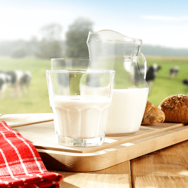Best Whey Protein Original