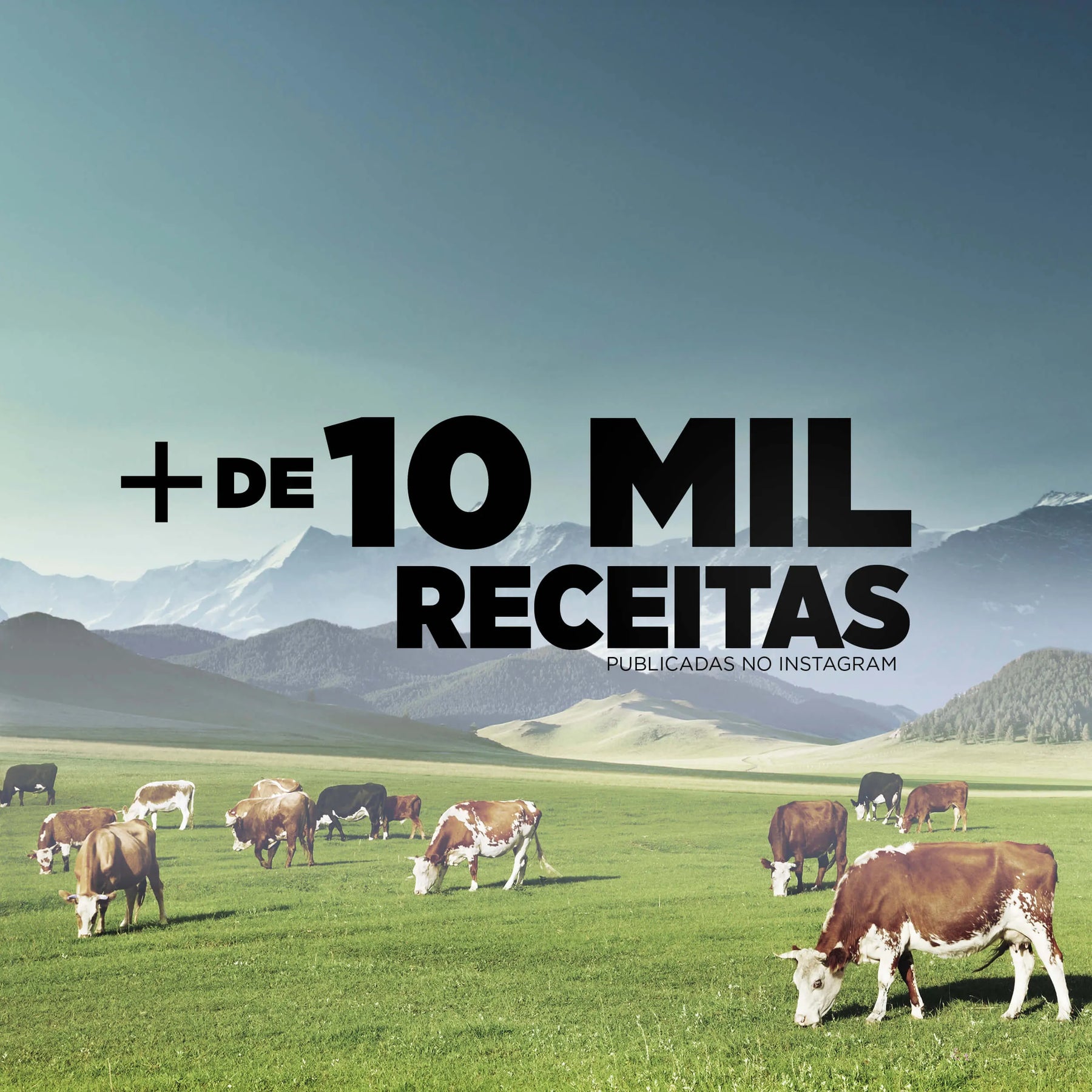 Best Whey Protein Original