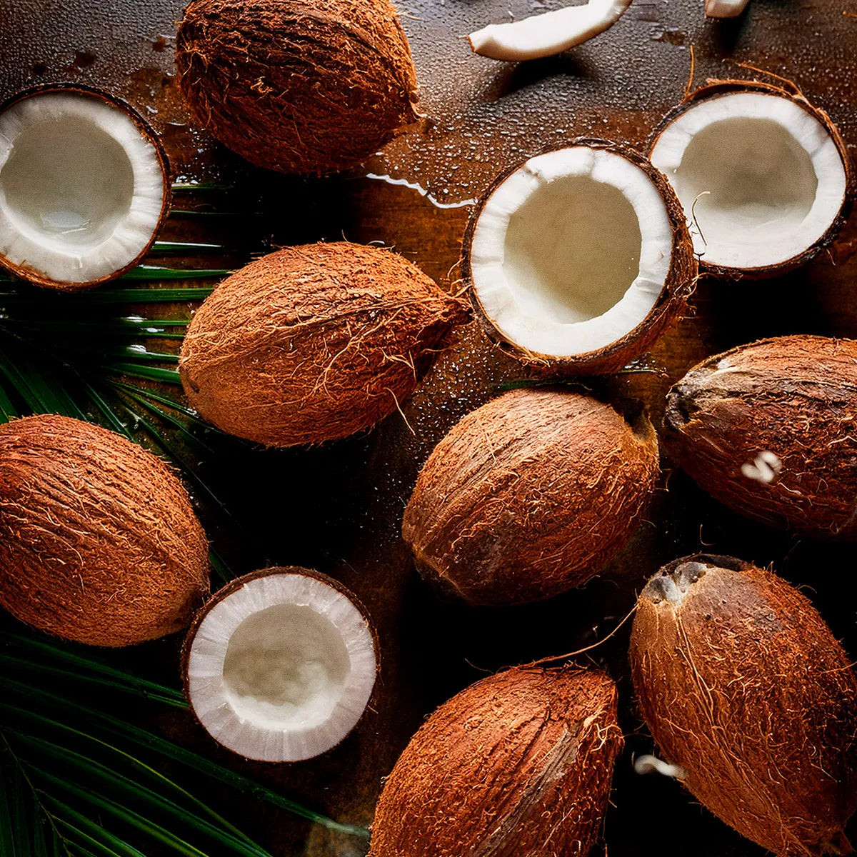 GO! Hydrate Sport+ Água de Coco (180g)