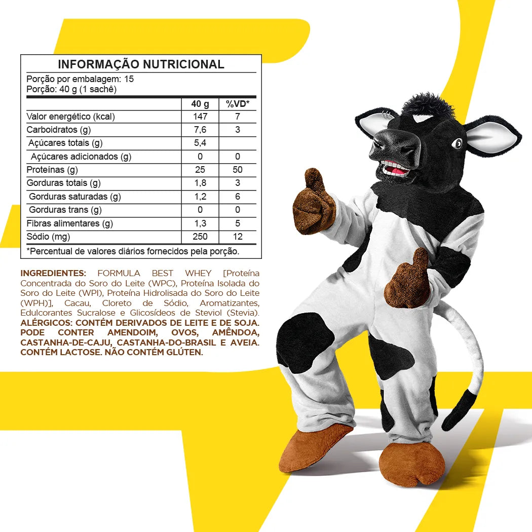 Best Whey Protein Achocolatado Toddy - 15 Sachês de 40g