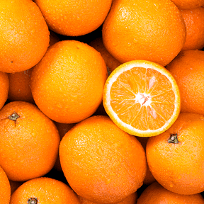 Suplemento Go! My Run Recovery 4:1 640g - Laranja
