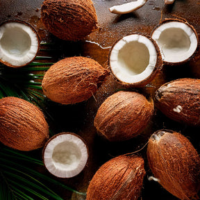 GO! Hydrate Sport+ Água de Coco (180g)